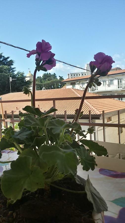 Casa Vacanza Xenia Agerola Exterior foto